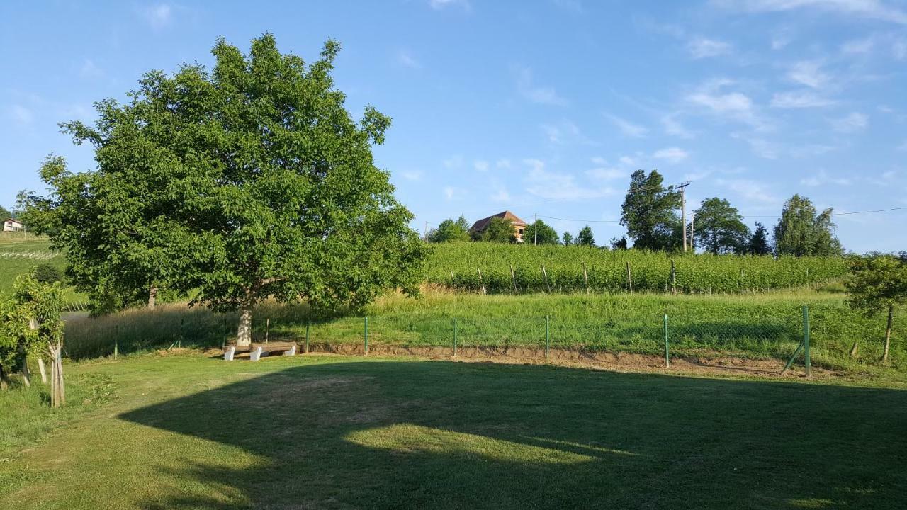 Villa Na Off à Radenci Extérieur photo