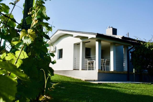 Villa Na Off à Radenci Extérieur photo